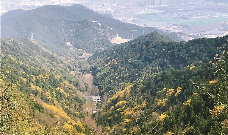 這個植樹節(jié)，一起走進蕭山區(qū)林場