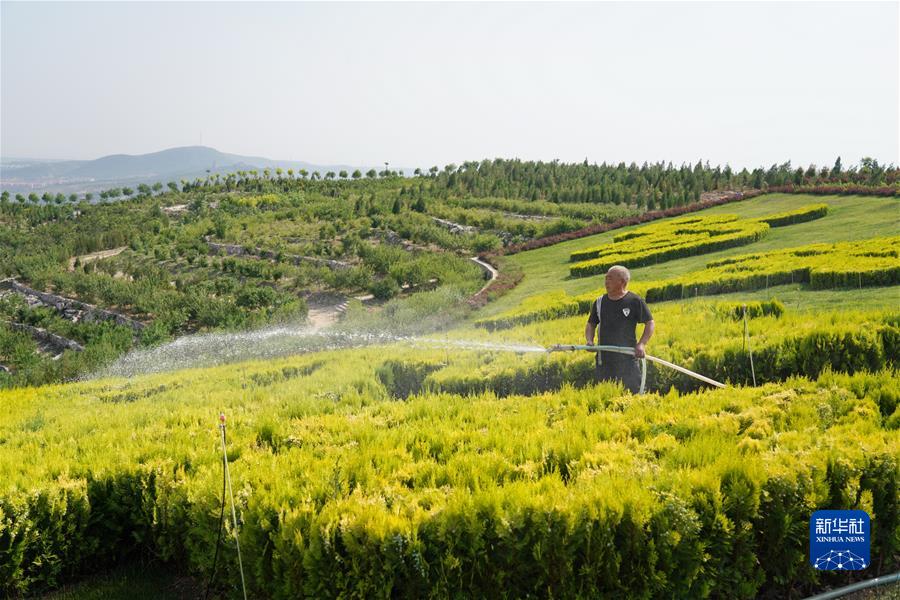 （新華全媒頭條·聚焦生物多樣性大會(huì)·圖文互動(dòng)）（3）攜手同行，開(kāi)啟人類高質(zhì)量發(fā)展新征程——習(xí)近平主席在《生物多樣性公約》第十五次締約方大會(huì)領(lǐng)導(dǎo)人峰會(huì)上的主旨講話解讀