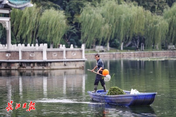 點擊查看高清原圖