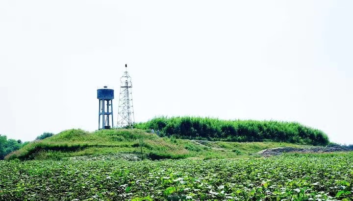 上世紀(jì)80年代福泉山遠(yuǎn)景